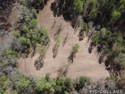 aerial view of land after Forestry mulching service performed