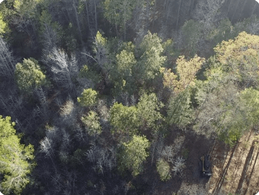 aerial view of land before forestry mulching service