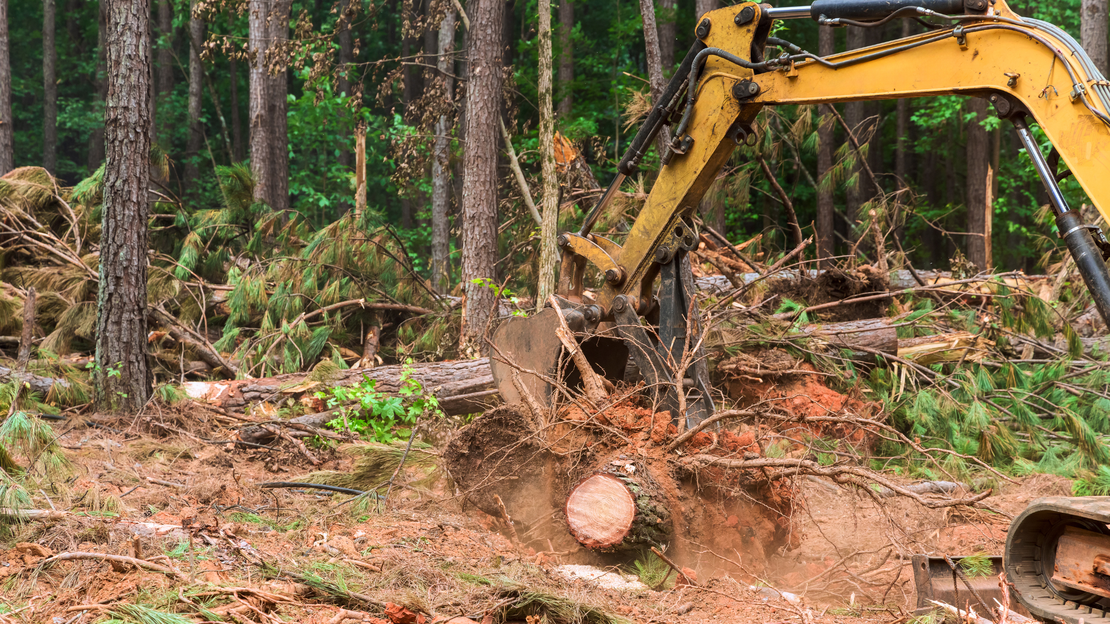 how much is land clearing per acre