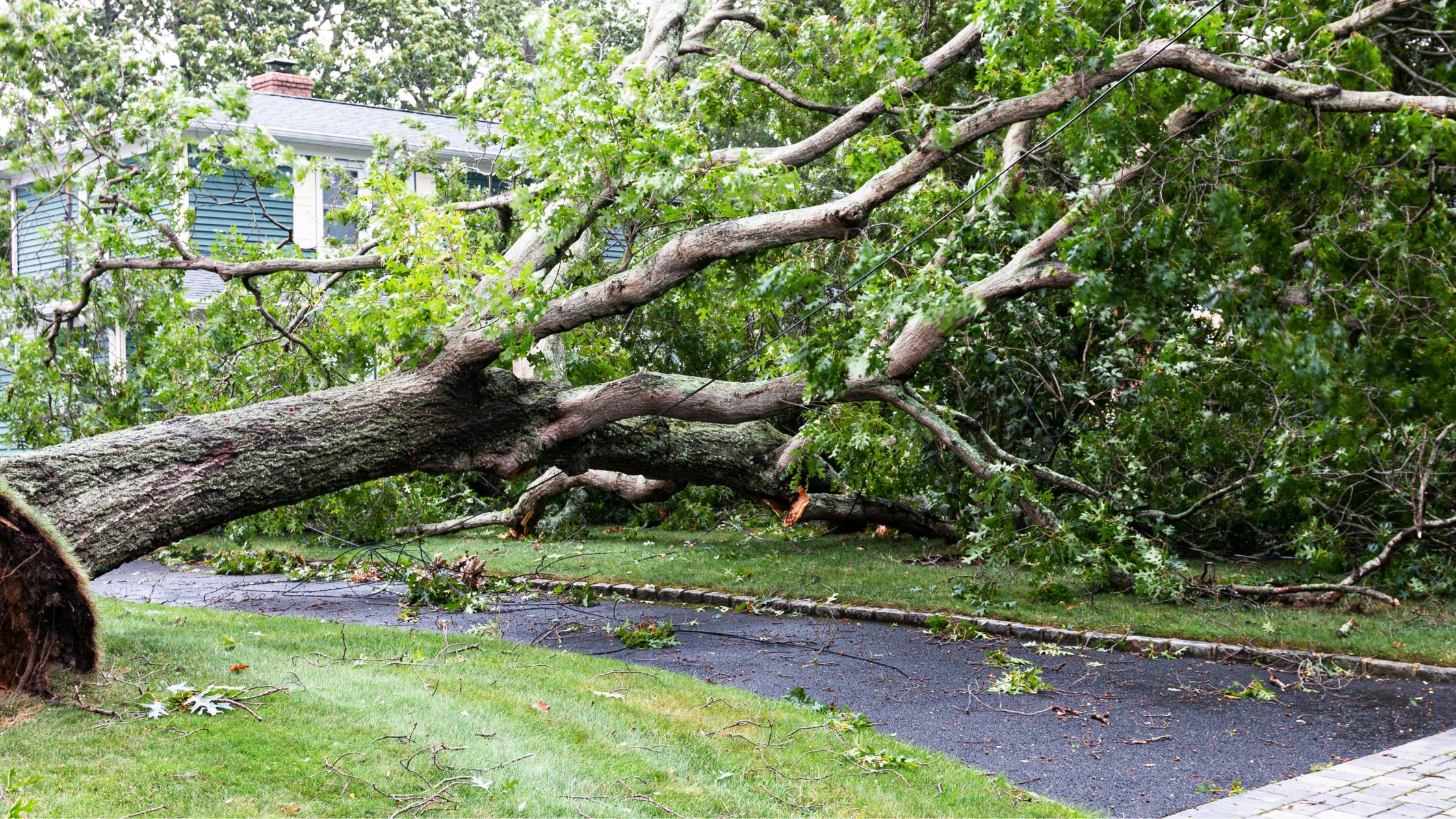 storm damage in virginia