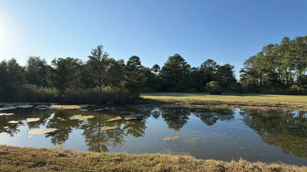 Pond construction in Hayes, VA